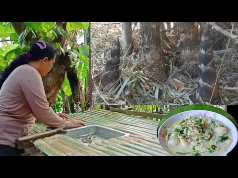 Cooking Bamboo Shoot or "Labong" | Life in the Province
