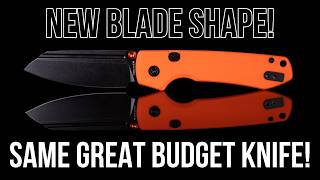 The Trash Panda is Evolving! - Vosteed Knives Raccoon Sheepsfoot (Top Liner Lock)