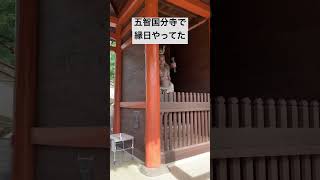 五智国分寺で縁日やってたよ