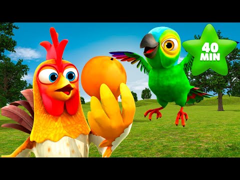 Confusione In Fattoria e Tutte le Canzoni della Fattoria di Zenon | La Fattoria Di Zenon