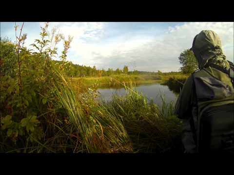 2015 Jõeforellipüük