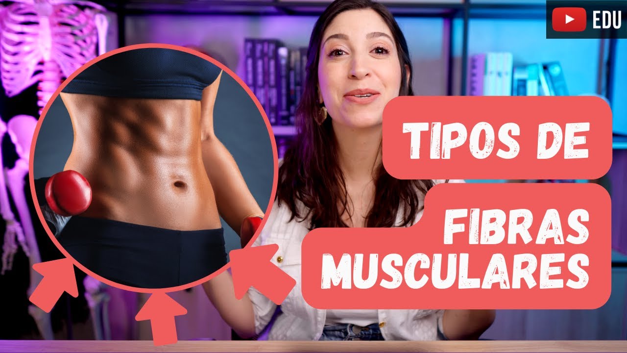 Fibras musculares de contração lenta vs. rápida: qual a diferença?