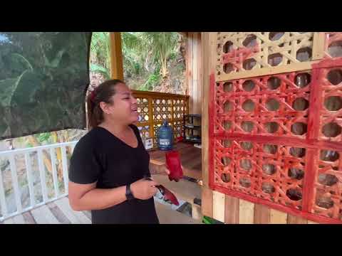Painting the Varnish on the front Amacan | House of MIa Kaloka Home Improvements 5/5/24#house #fypシ