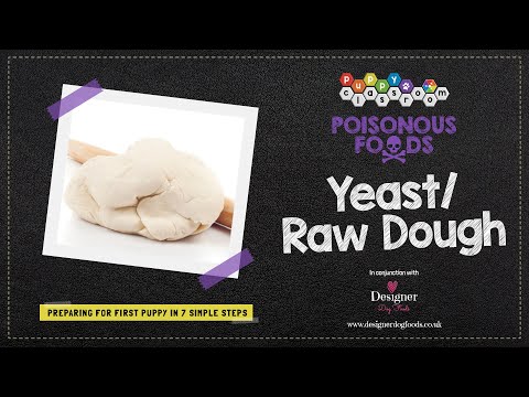 Can Dogs Eat Yeast and Raw Dough?