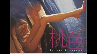 楊凡電影《桃色》幕後花絮 Yonfan _Colour Blossoms_Behind the Scene video