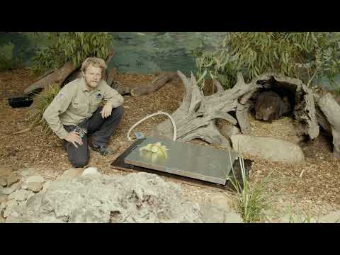 Oakvale Wildlife Park