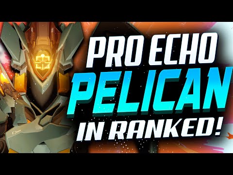 Pelican Pro Echo Gameplay - 36 elims! [ Overwatch Season 31 Top 500 ]