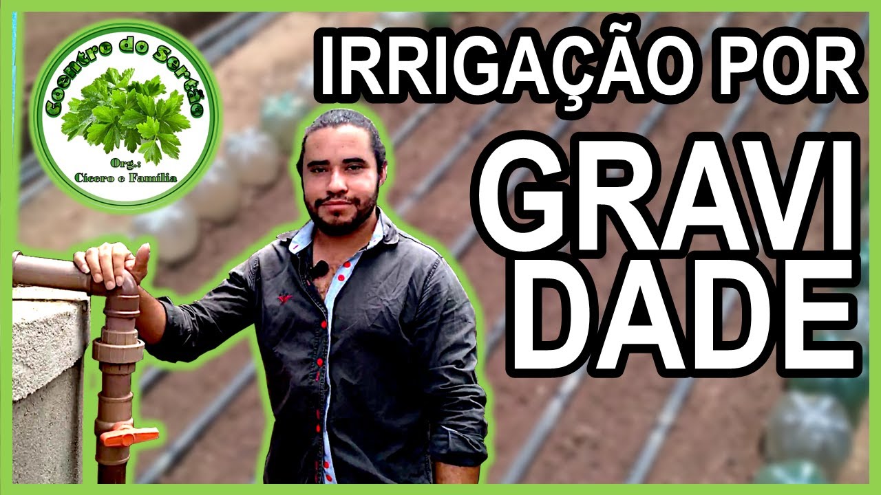 IRRIGAÇÃO DE BAIXO CUSTO - Sistema de GOTEJAMENTO por GRAVIDADE do COENTRO DO SERTÃO