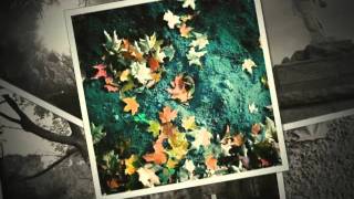 The Smokey Life by Patricia O&#39;Callaghan