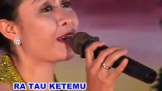 Download lagu CS Sangga Buana - Tombo Kangen Voc. Putri & Ida mp3 Download lagu CS Sangga Buana - Tombo Kangen Voc. Putri & Ida mp3