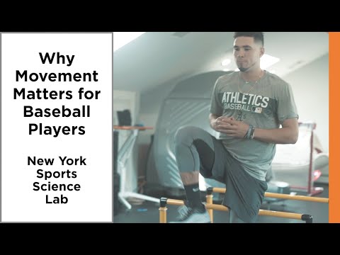 Strength Development Training | NY Sports Science Lab