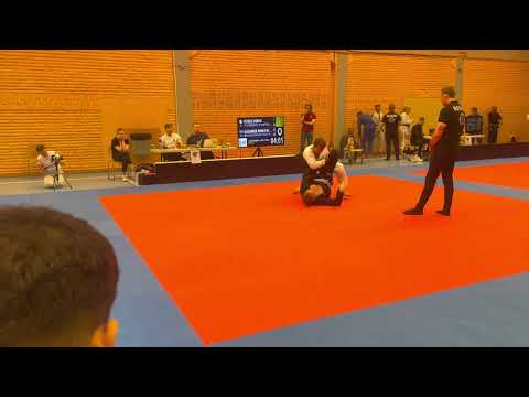Semi Final, Absolute/Open weight, Blue, Adult  Brazilian Jiu Jitsu (bjj)