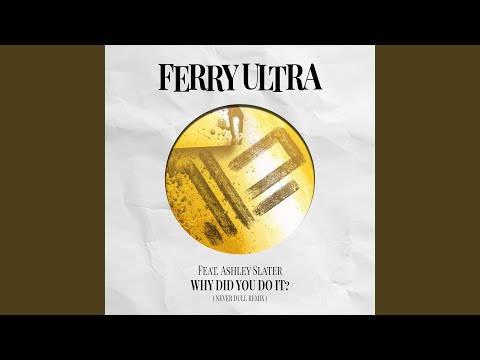 Why Did You Do It? (Never Dull Extended Remix)