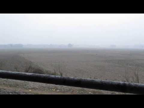 Beautiful FOGGY Mustard Field Blurred to the Horizon captured from Moving Train !