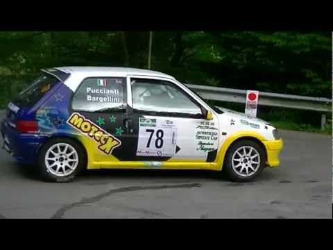 rally degli abeti 2012 PS1