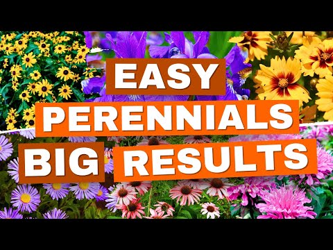 NEW to Gardening? Start with These 20 EASY Perennials! ✅