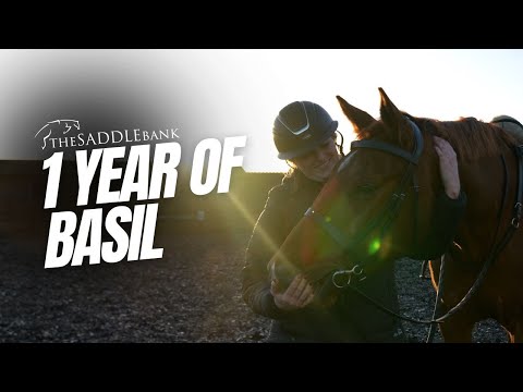 The Reality of Horse Ownership | One Year Later