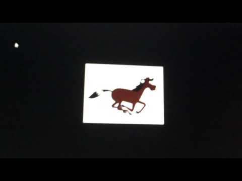 Spyroladdin Part 32 - End Credits