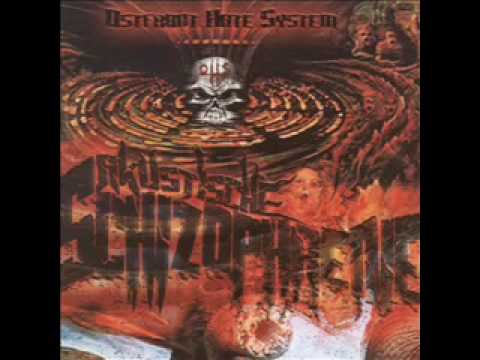 Ostfront Hate System - Schmerzen