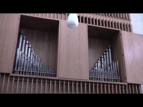 Hochfest Petrus und Paulus - Antwortpsalm - 29.06.2010 GL 629/1