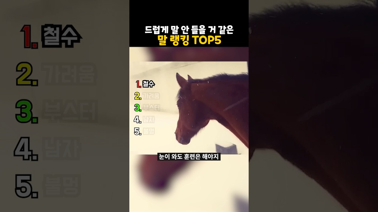 말 안 듣는 말 랭킹 top5