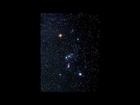 Trippjones - Wtf Goin On (ChoppednSlopped) =1921=