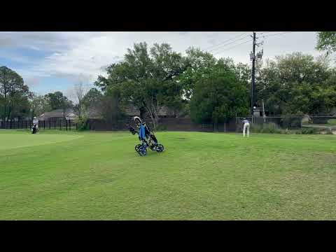 Wyman's Iron Highlights