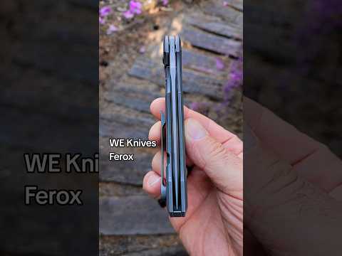 #edc #tools #toys #viralvideo  #atherapeuticedge  WE Knives Ferox