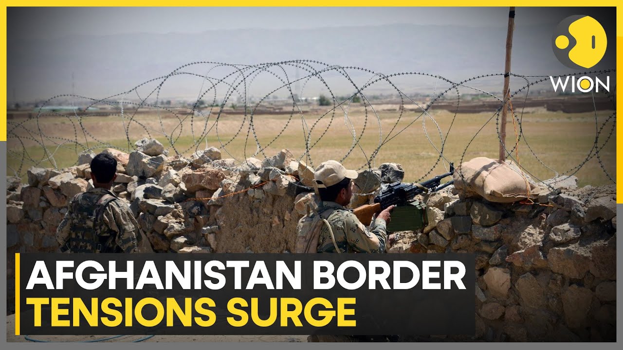 Pakistan: Afghans Carried Out Two Suicide Bombings | WION News