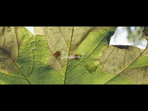 AK, Sublab & Tim Schaufert - Verdant (ft. Cluda)