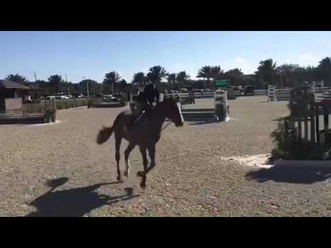 Ernie and Miranda WEF 2