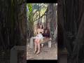 Boobs Touch Monkey Sexy Girl Youtubeshorts