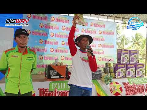 Ini yang Menyebabkan Bibit Padi Bintang Asia Unggul