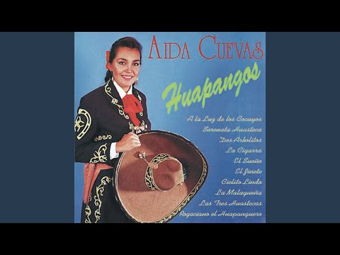 Rogaciano El Huapanguero video