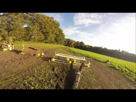 SGW Diepenheim 2025 - L paarden