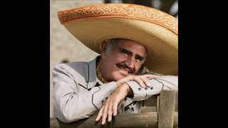 mi adorado tormento   vicente fernandez
