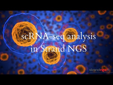 scRNA-seq analysis in Strand NGS