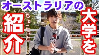 オーストラリアの大学をちょこっと紹介します！！