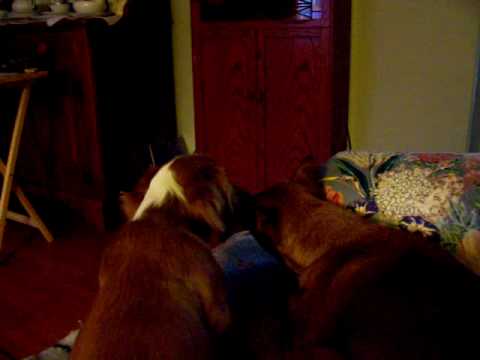 Bennie takes Care of His Sister