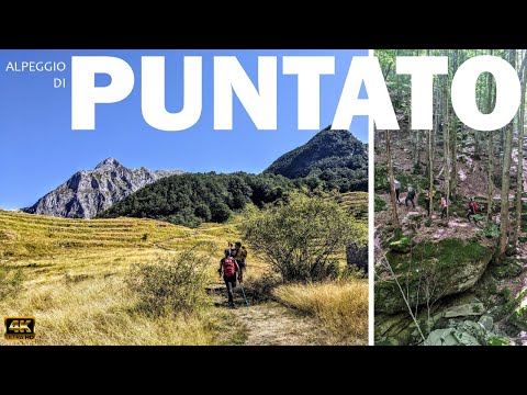 Escursione all'Alpeggio di Puntato sulle Alpi Apuane 4k. Toscana.