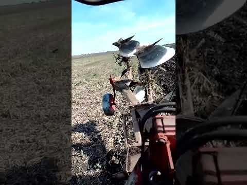 YTO 1204 oranje tulajista 2022