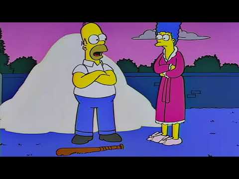 Homer Simpson goes Crazy - The Simpsons
