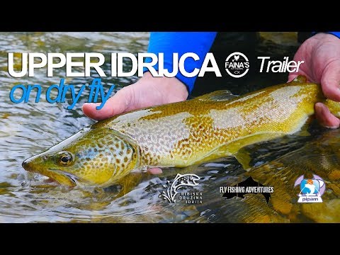 Sulla prova 2 strisce che bere targhe per uccidere un frutto Comessere la moglie dellalcolizzato