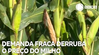 Miniatura do vídeo