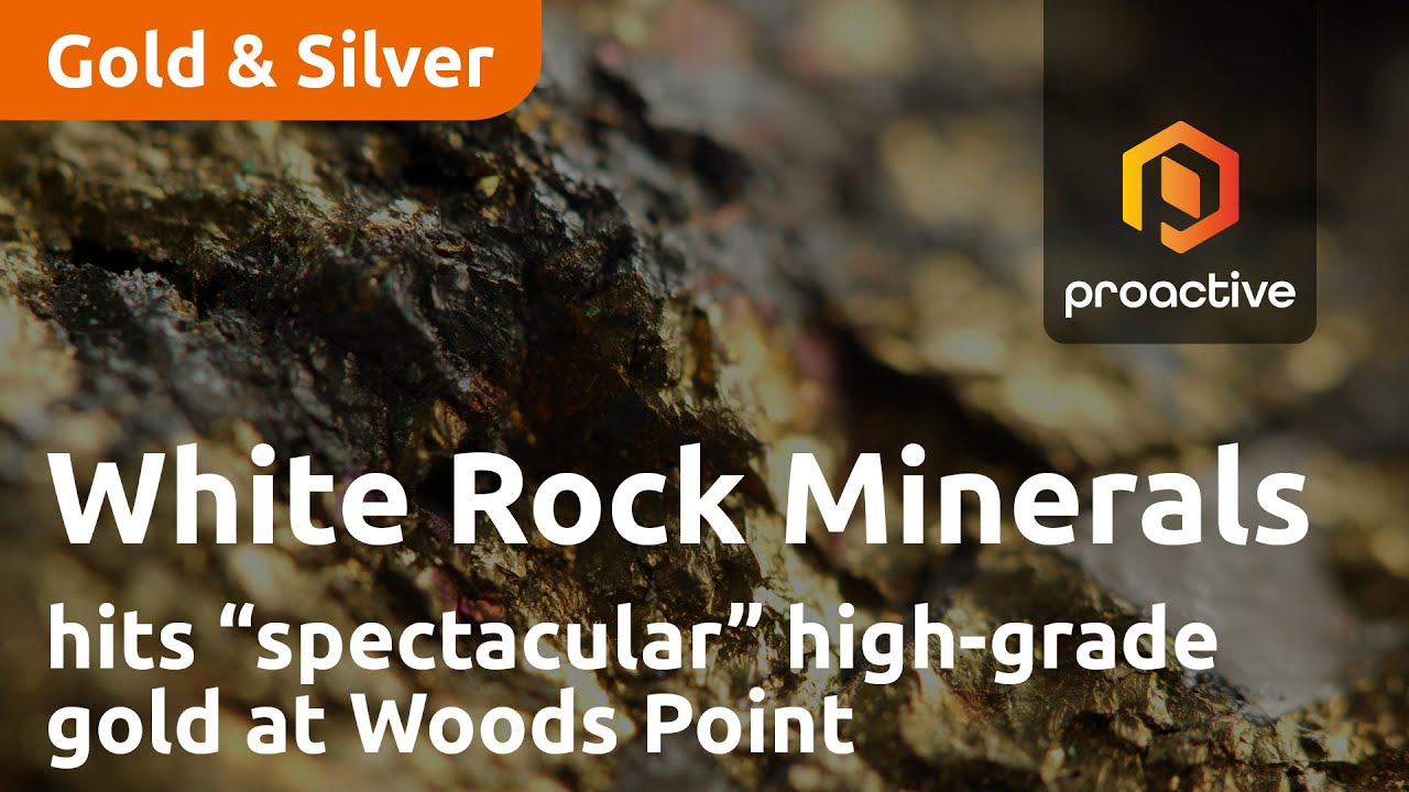 White Rock Minerals hits “spectacular” high-grade gold at Woods Point