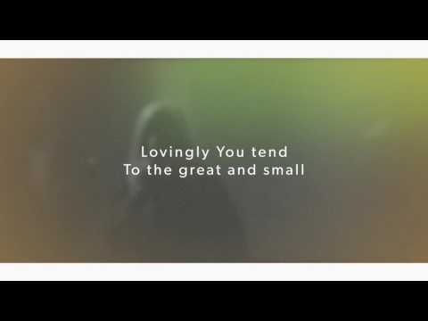 Lou Fellingham - Tapestry | Lyric Video | This Changes Everything