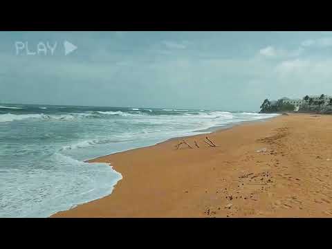 The Beach | Project L