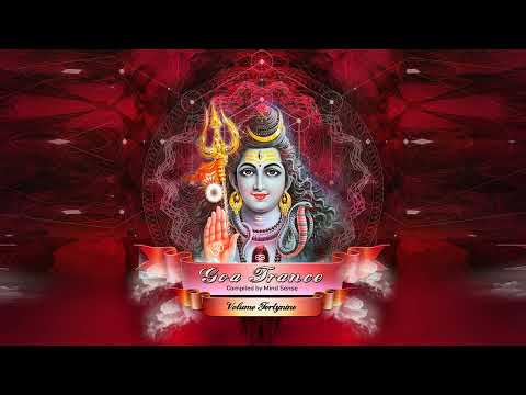 Mind Sense & Serenity Flux - The Beginning (Drukverdeler & DJ Bim Remix)