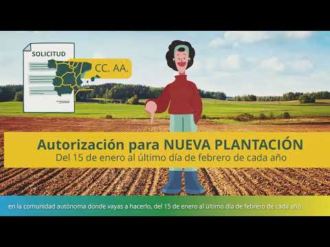 Fotograma del vídeo: Sistema de autorizaciones de plantaciones de viñedo en España