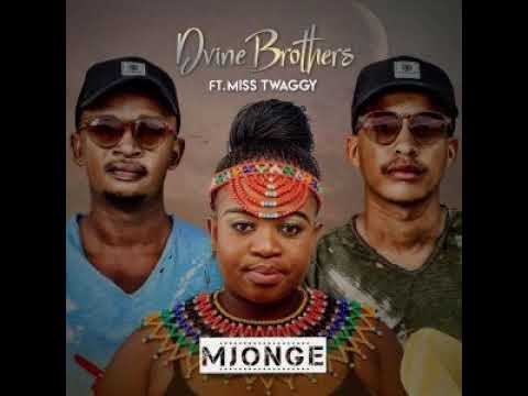 Dvine Brothers, Miss Twaggy -  Mjonge | AmaPiano Mix
